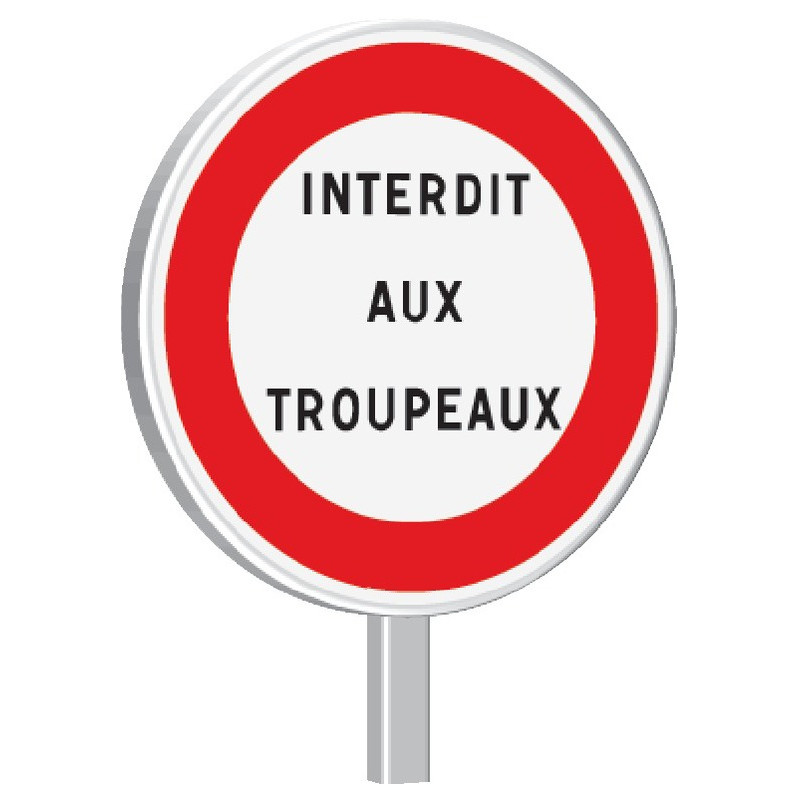 B19-450-Classe 2-Autres interdictions-Texte à spécifier