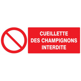 CUEILLETTE DES CHAMPIGNONS INTERDITE 200x52mm