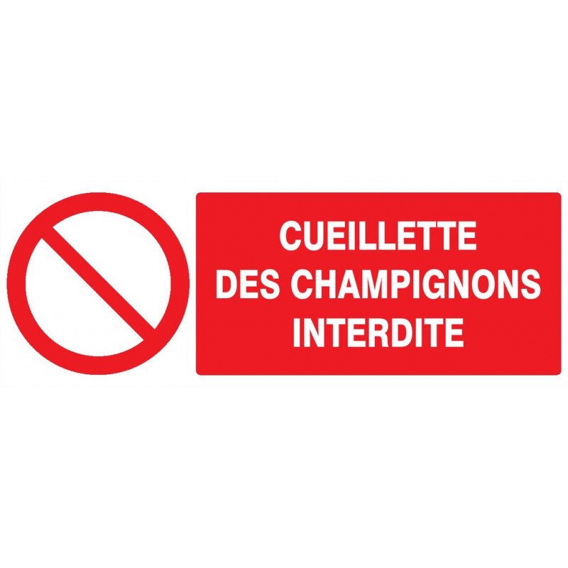 CUEILLETTE DES CHAMPIGNONS INTERDITE 330x200mm