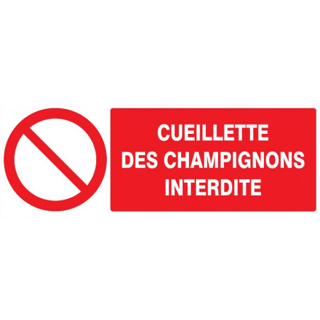 CUEILLETTE DES CHAMPIGNONS INTERDITE 330x200mm