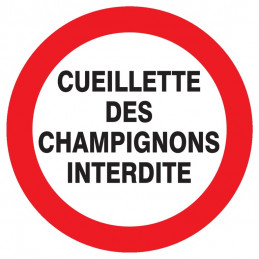 CUEILLETTE DES CHAMPIGNONS INTERDITE D.300mm