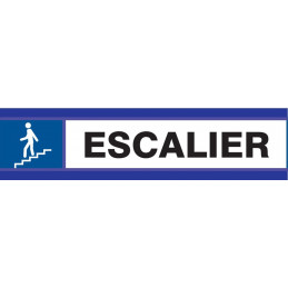 ESCALIER EN DESCENTE D-SIGN 180x45mm