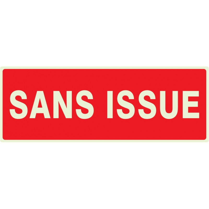 SANS ISSUE (INCENDIE) LUMINESCENT 330x200mm