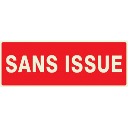 SANS ISSUE (INCENDIE) LUMINESCENT 330x75mm