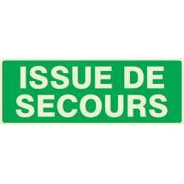 ISSUE DE SECOURS LUMINESCENT 330x75mm