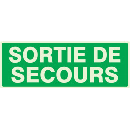 SORTIE DE SECOURS LUMINESCENT 330x75mm