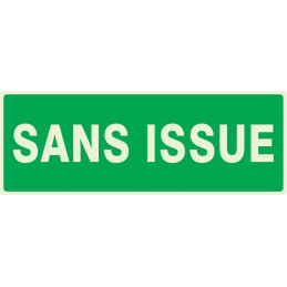 SANS ISSUE (SECOURS) LUMINESCENT 330x120mm