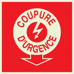 COUPURE ELECTRICITE D'URGENCE LUMINESCENT 200x200mm