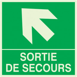 SORTIE DE SECOURS FLECHE EN HAUT A GAUCHE LUM.200x200mm