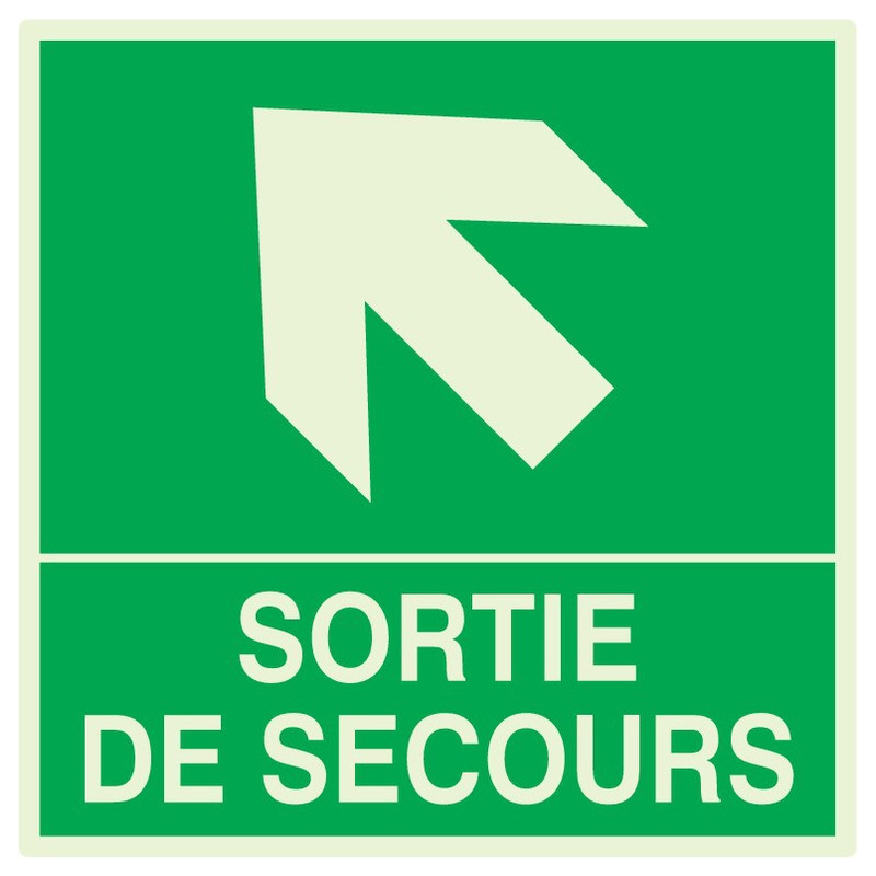 SORTIE DE SECOURS FLECHE EN HAUT A GAUCHE LUM.200x200mm SORTIE DE SECOURS FLECHE EN HAUT A GAUCHE LUM.200x200mm