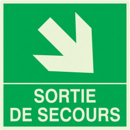 SORTIE DE SECOURS FLECHE EN BAS A DROITE LUM. 200x200mm