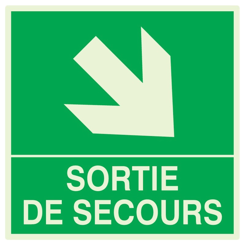 SORTIE DE SECOURS FLECHE EN BAS A DROITE LUM. 200x200mm