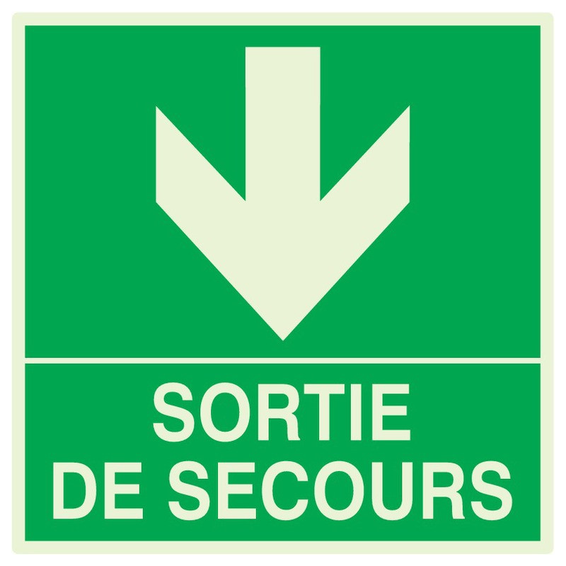 SORTIE DE SECOURS EN BAS LUMINESCENT 200x200mm