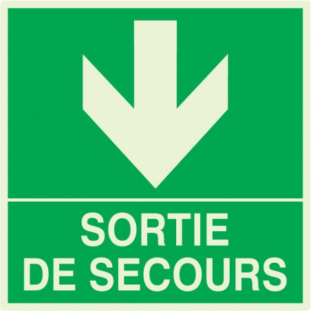 SORTIE DE SECOURS EN BAS LUMINESCENT 200x200mm