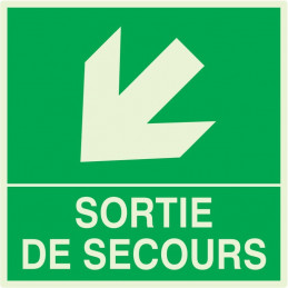 SORTIE DE SECOURS FLECHE EN BAS A GAUCHE LUM. 200x200mm