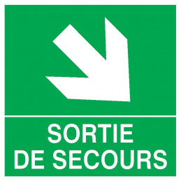 SORTIE DE SECOURS FLECHE EN BAS A DROITE 200x200mm