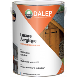 Décapant Peinture Univers Dalep Paintop 1L 