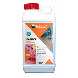 PAINTOP - Décapant peinture universel 1L